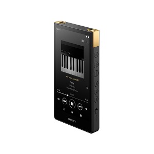 소니 워크맨 NW-ZX707 64GB MP3 DAP